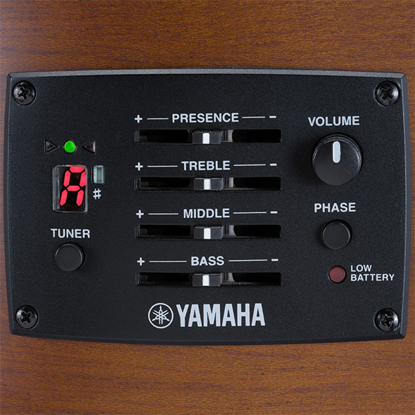 Yamaha FX400 Smoky Black Acoustic guitar