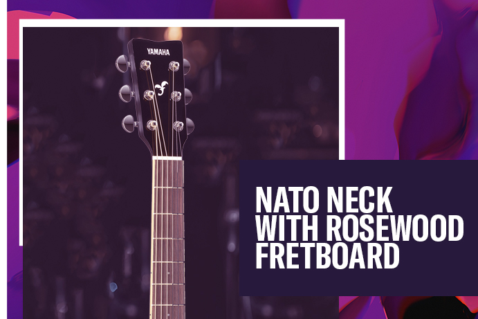 Nato neck with rosewood fretboard